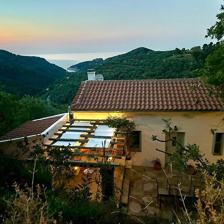 Olive Mill Cottage Skopelos Exterior foto
